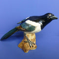 Beswick Bird - Magpie Model No 2305