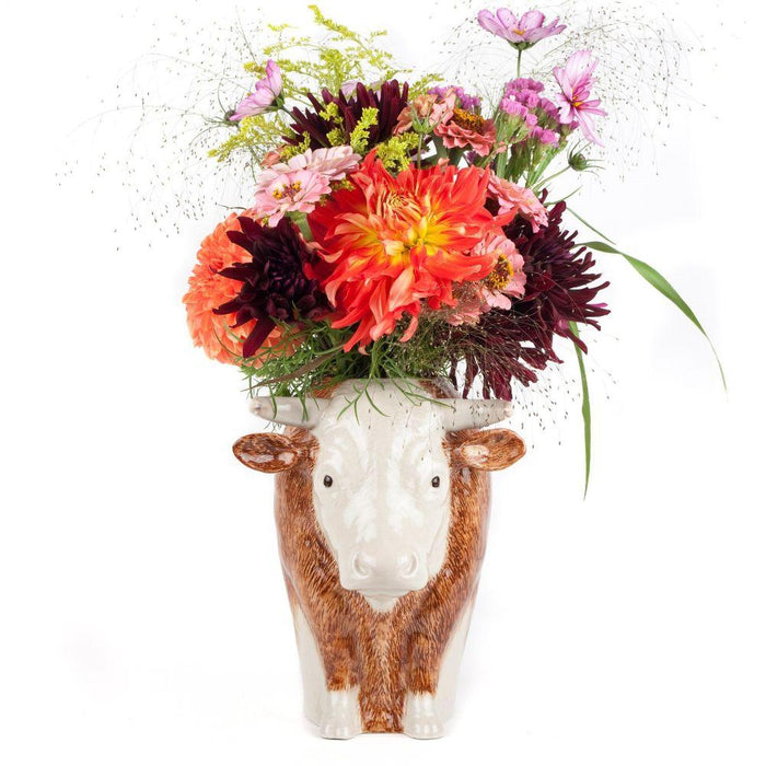 Hereford Bull