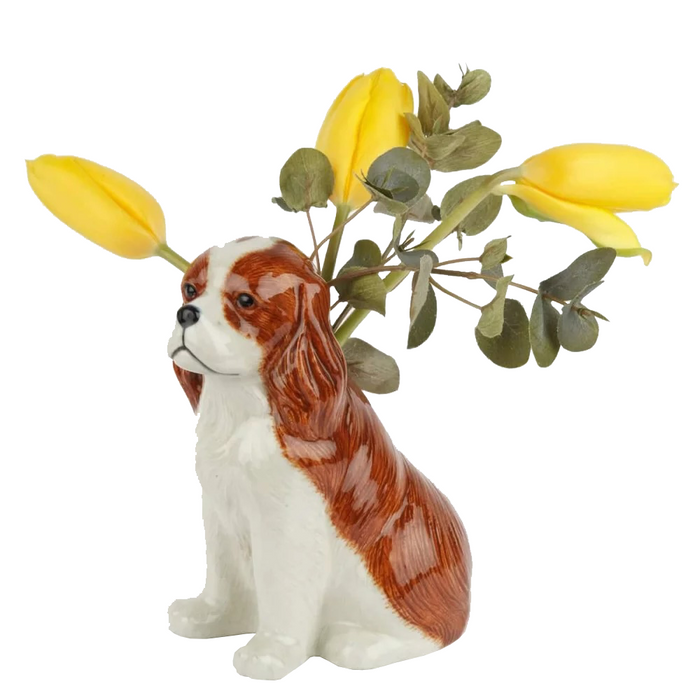 King Charles Spaniel