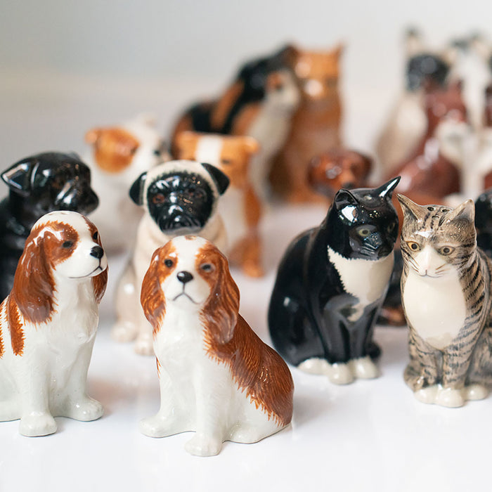 Ceramic Salt & Pepper Shakers