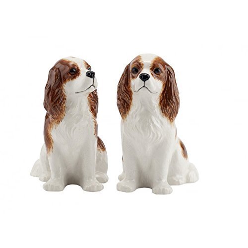 Blenheim Cavalier King Charles
