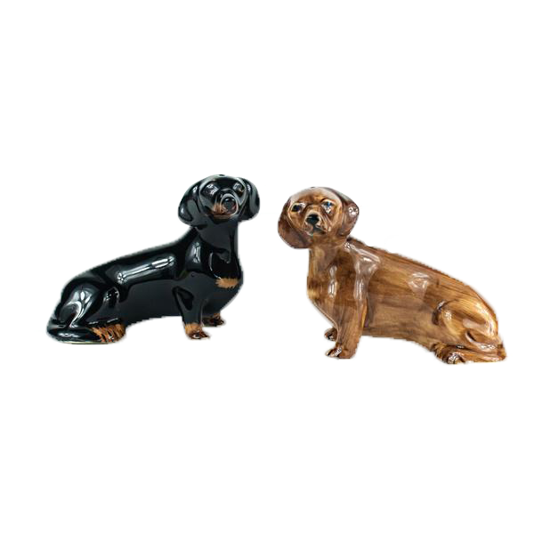 Dachshund
