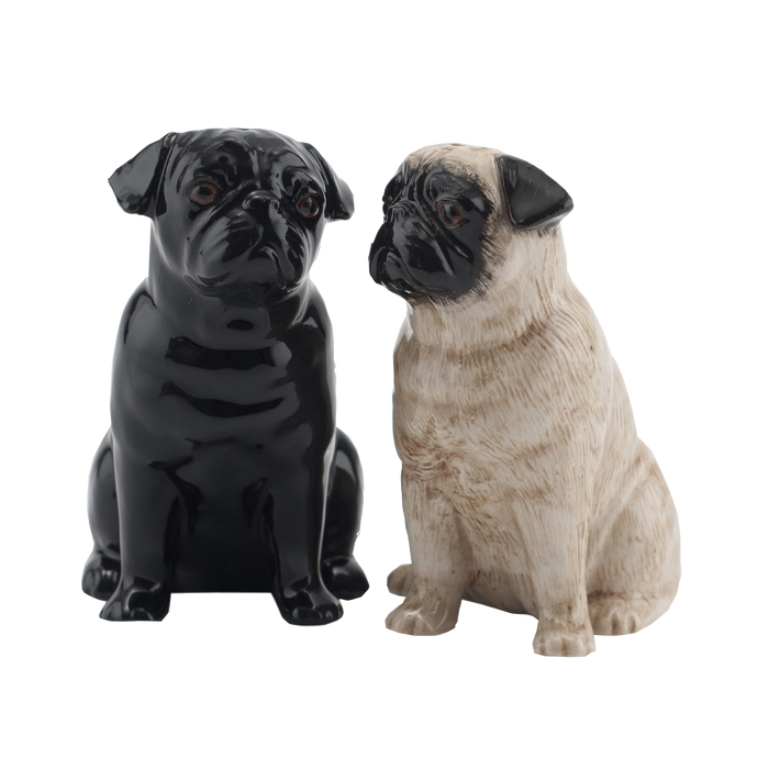 Pug