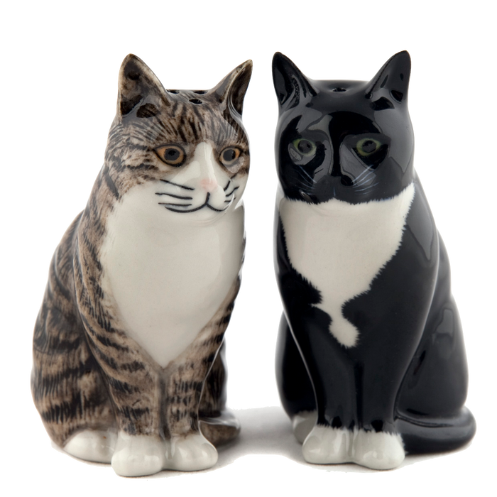 Tabby & Tuxedo Cat