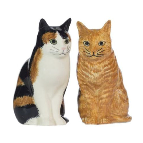 Calico & Orange Cat