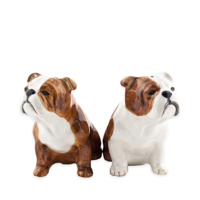 Ceramic Salt & Pepper Shakers