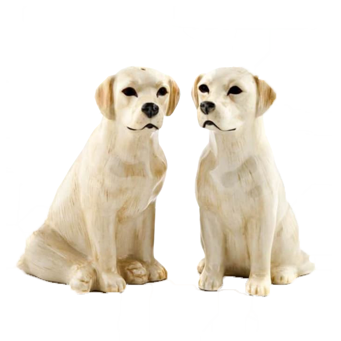 Ceramic Salt & Pepper Shakers