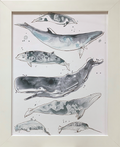 Cetacea II: Framed with Glass
