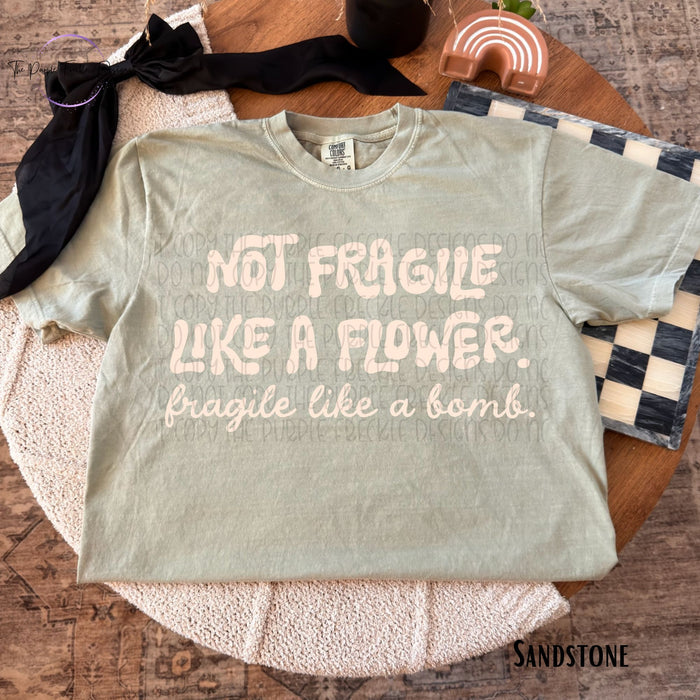 Fragile Like A Bomb