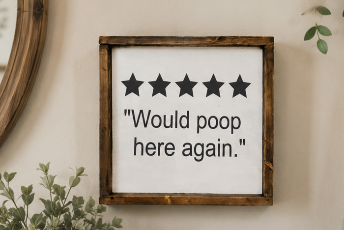 Funny Bathroom Wood Sign | "Would Poop Here Again" Bathroom Decor | Farmhouse Bathroom Sign | Painted Wood Funny Wall Art