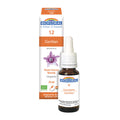Gentiane (20ml)