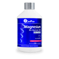 Magnesium Bis·glycinate 300 Ultra Gentle - Bleuets (500ml)