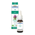 Mélèze (20ml)