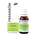 Menthe Des Champs (10ml)