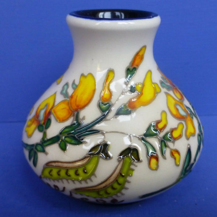 Moorcroft Limited Edition Vase - Wild Broome By Nicola Slaney