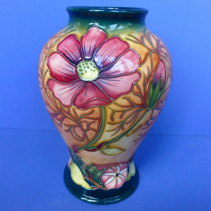 Moorcroft Vase - Cosmos By Rachel Bishop