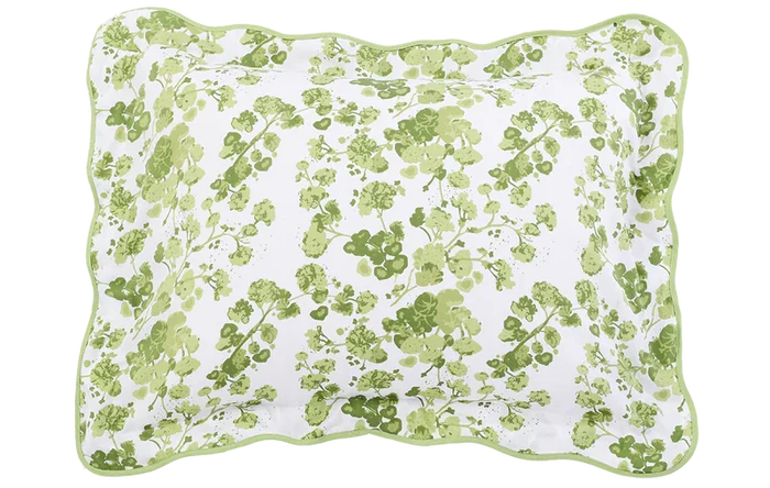 Ouisie Green Shams