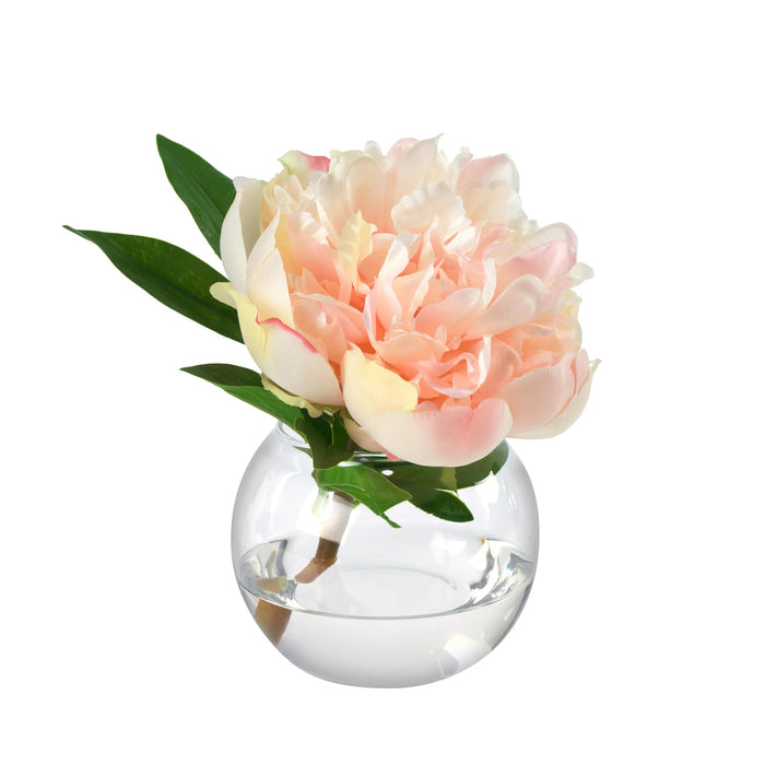 Peony Blossom