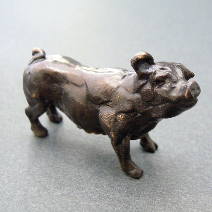 Pig - bronze sculpture by Edward Waites