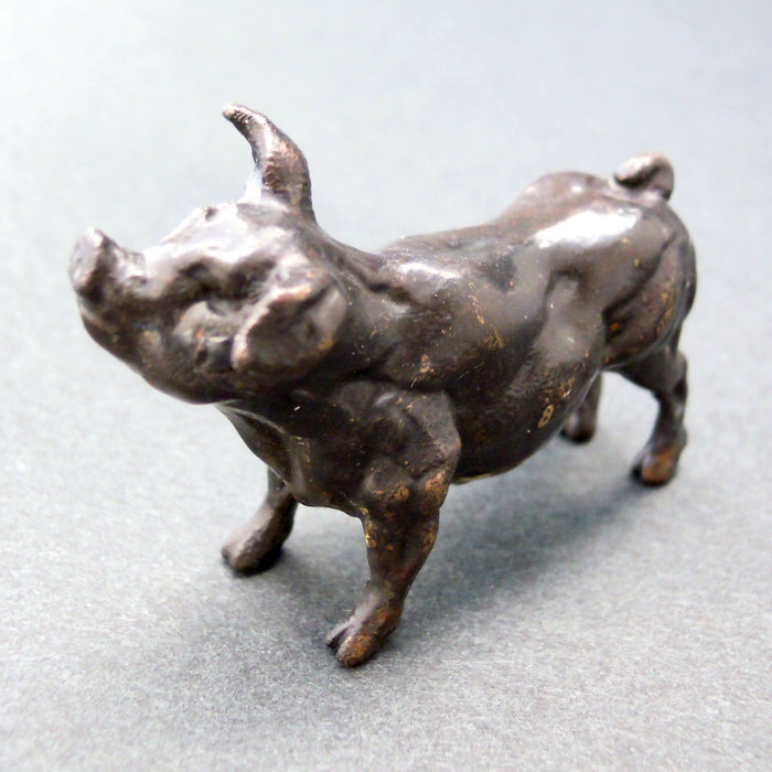 Pig - bronze sculpture by Edward Waites