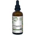 Polygonum (100ml)