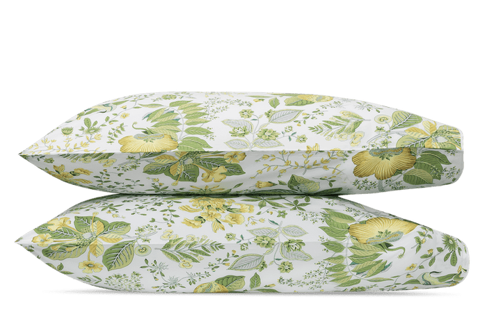 Citrus / Standard Cases Pair