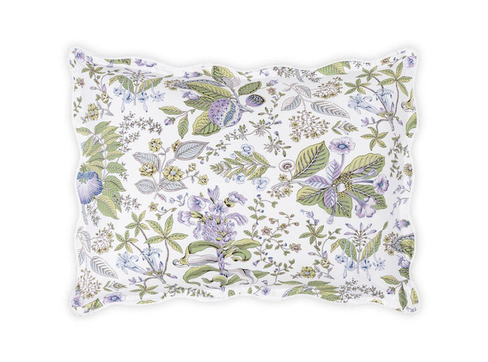 Lilac / King Sham