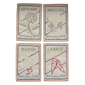 Seed Packet Cocktail Napkins, set of 4