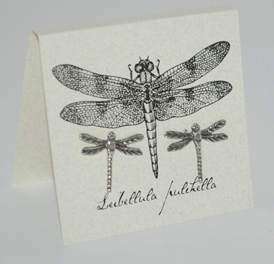 Semaki & Bird - Natural History Post Earrings