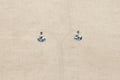 Silver & Abelone Ear Stud Earrings