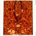 Stabilized box elder burl wood panels