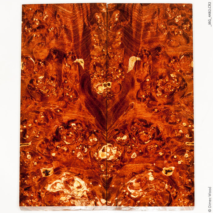 Stabilized box elder burl wood panels