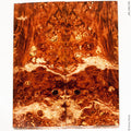 Stabilized box elder burl wood panels