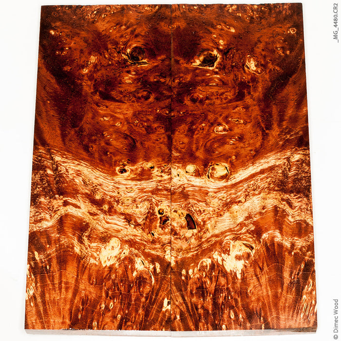 Stabilized box elder burl wood panels